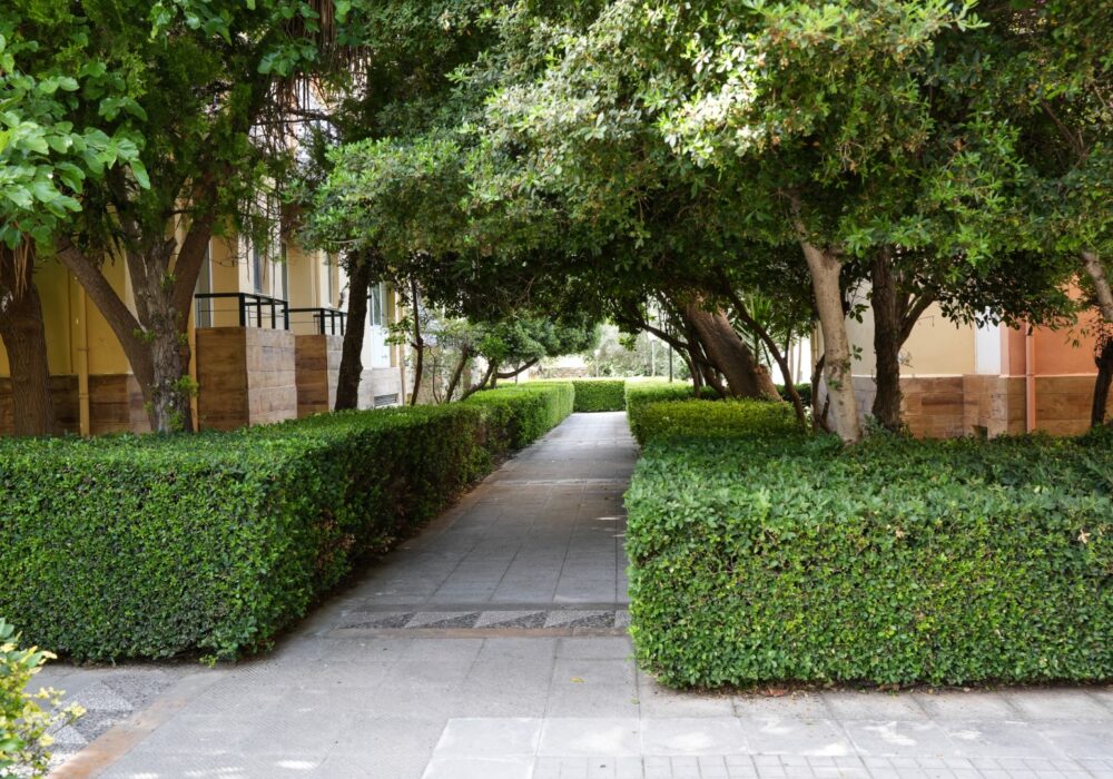 Εξωτερικός χώρος